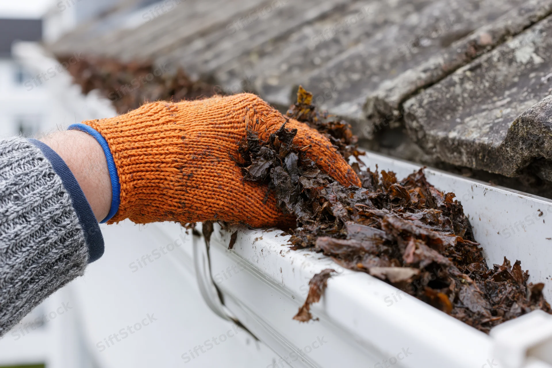 Hand in orange knit glove removing wet leaves from white gutter on roof