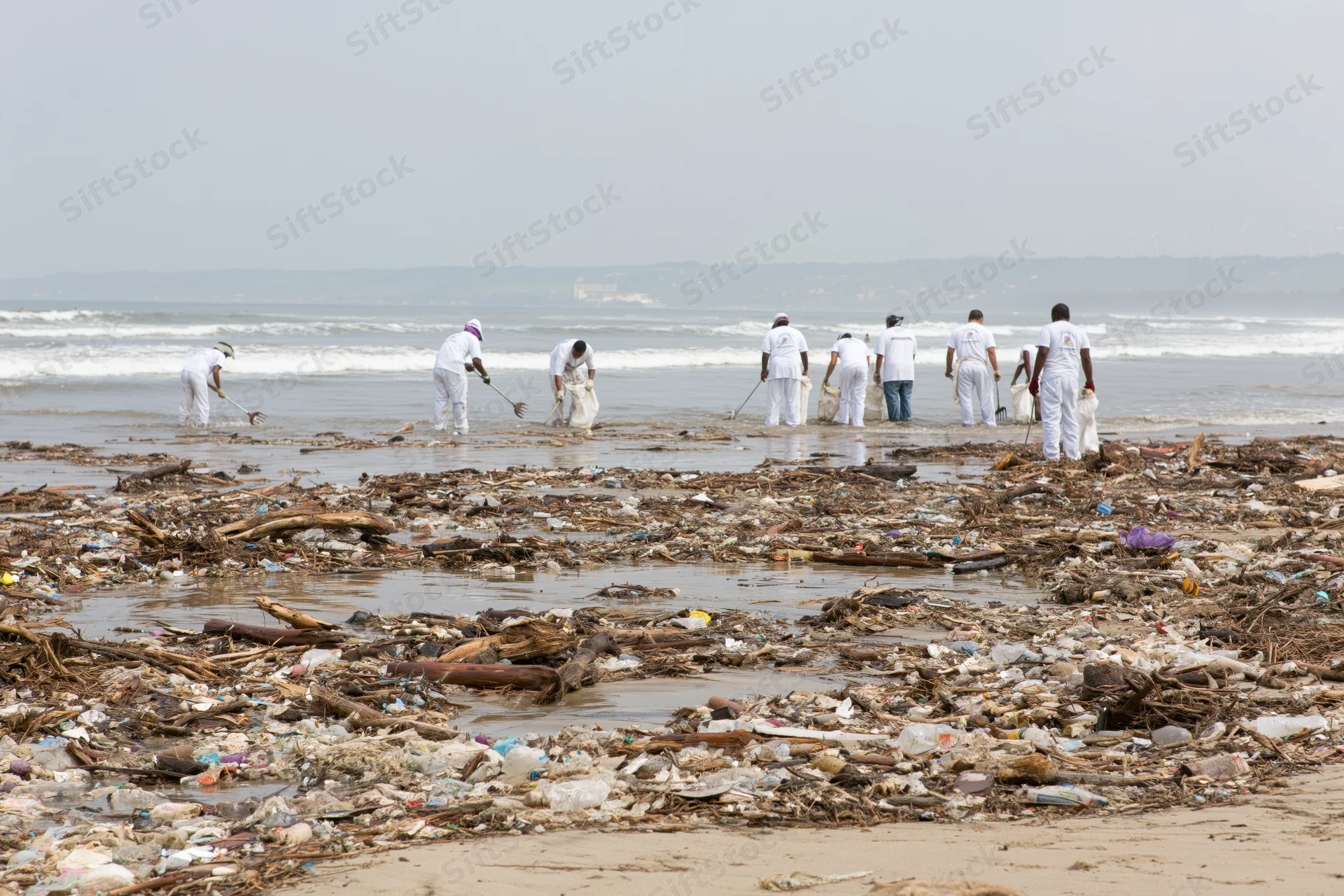 Volunteers collecting trash on a littered beach near the ocean