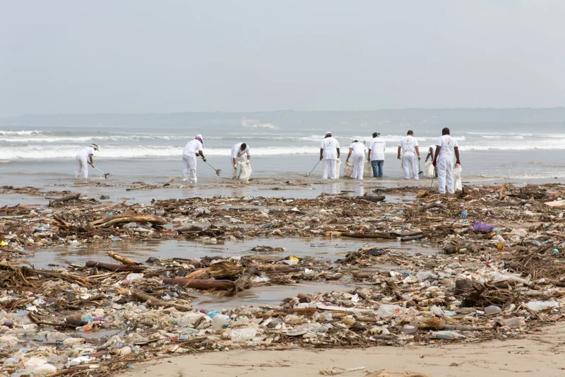 Volunteers collecting trash on a littered beach near the ocean