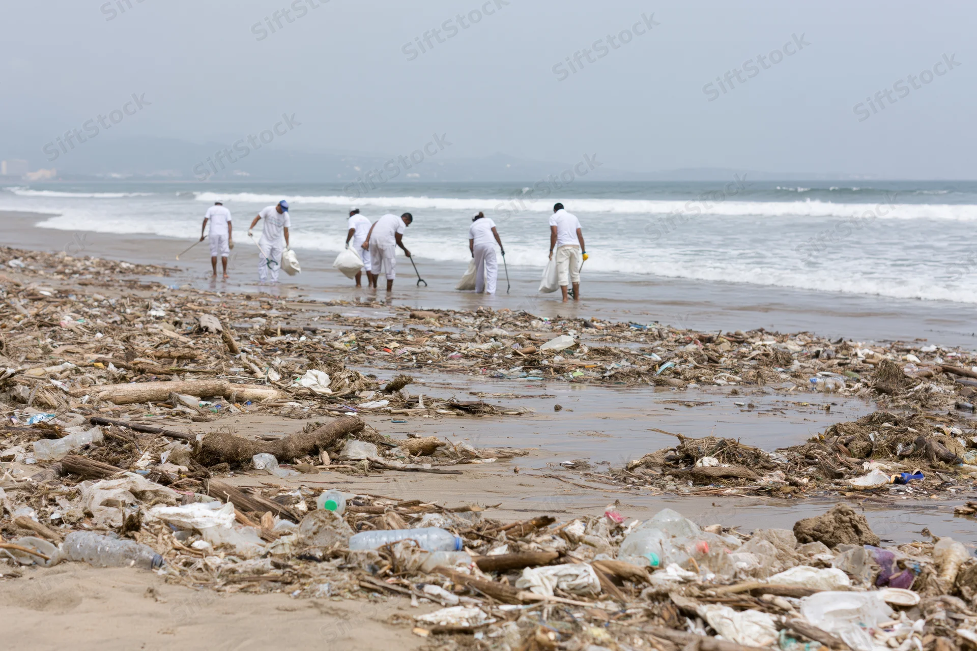 Volunteers collecting trash along a polluted beach shoreline