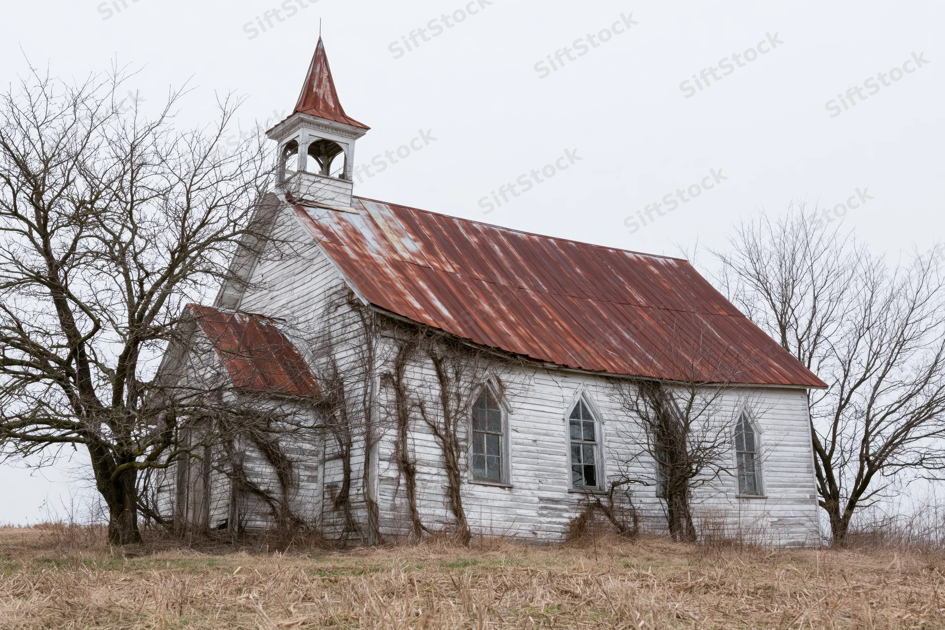 Abandoned white clapboard church with rusted corrugated roof and overgrown vines in a rural field