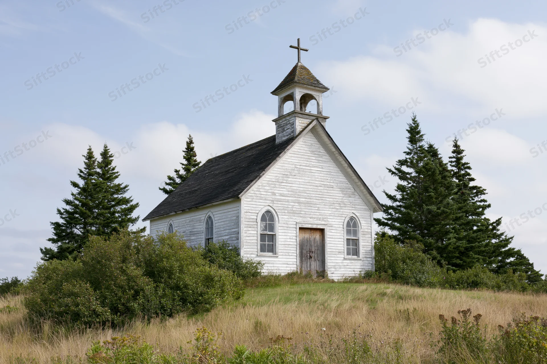 Small white clapboard church with bell steeple and cross in a grassy field among evergreen trees