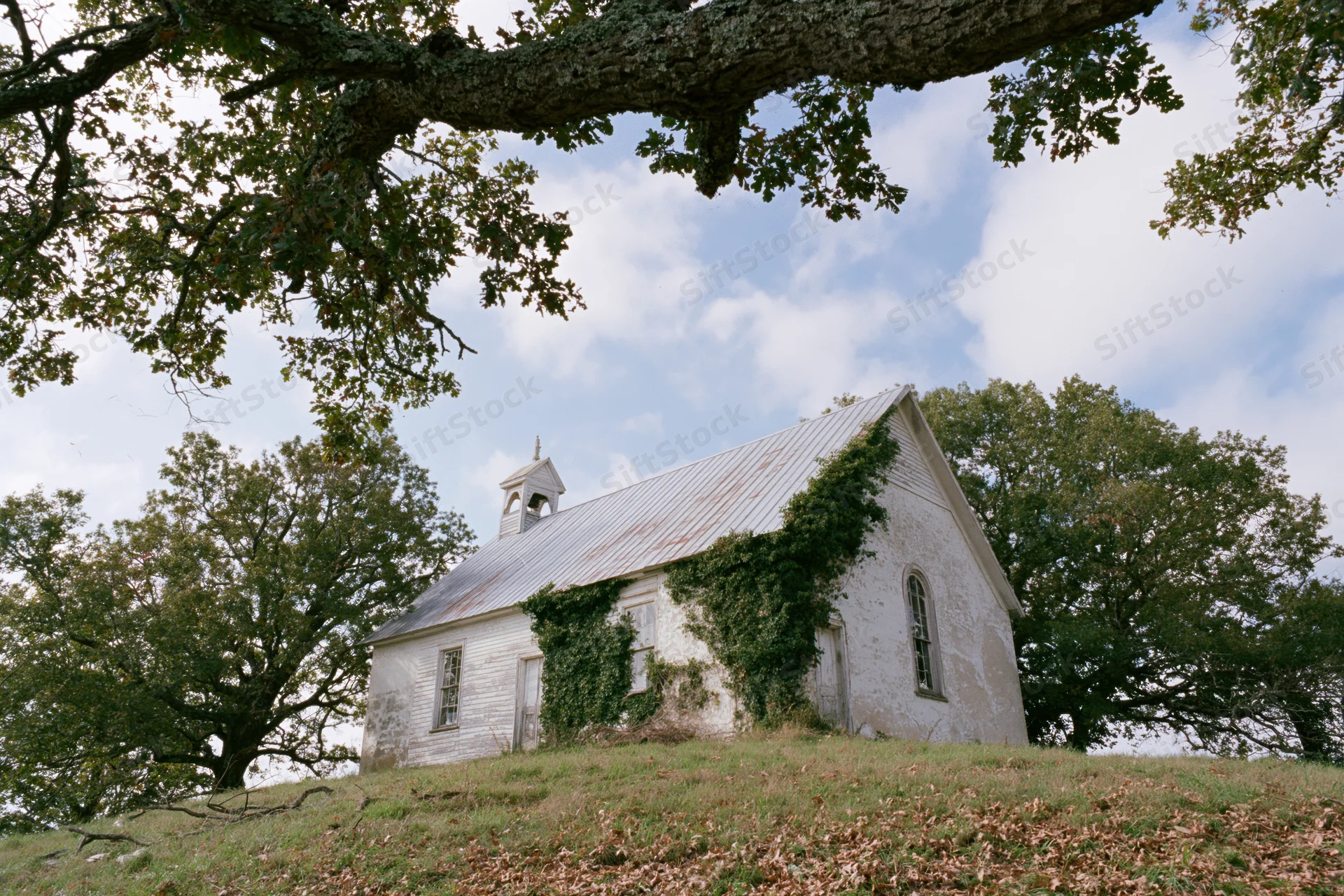 Abandoned white clapboard church with metal roof and ivy on a grassy hill surrounded by trees