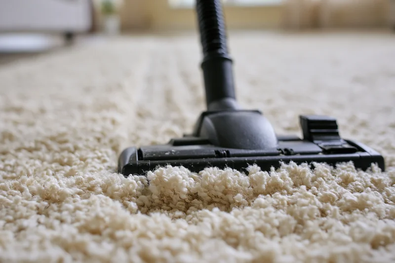 Black vacuum attachment cleaning beige carpet in living room