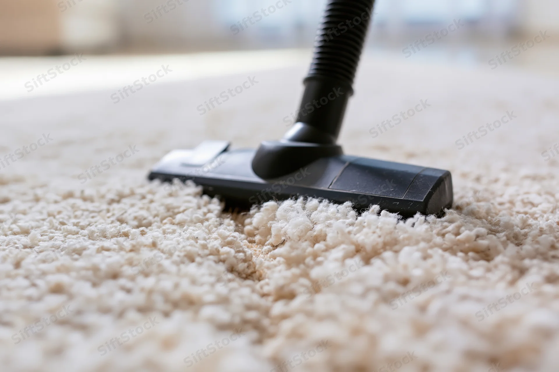 Black vacuum attachment cleaning beige carpet in home interior