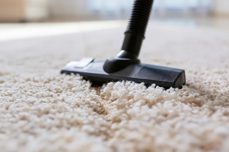 Black vacuum attachment cleaning beige carpet in home interior