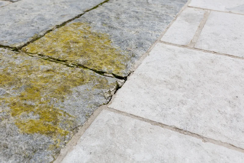 Close-up of weathered stone patio with moss and cracks showing natural aging and outdoor wear