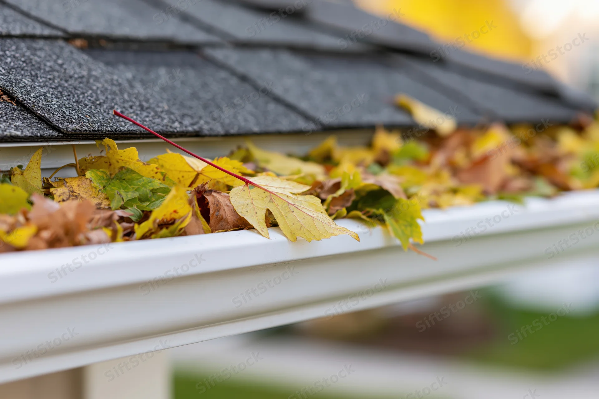 White vinyl gutter clogged with fallen autumn leaves along a shingled roof edge