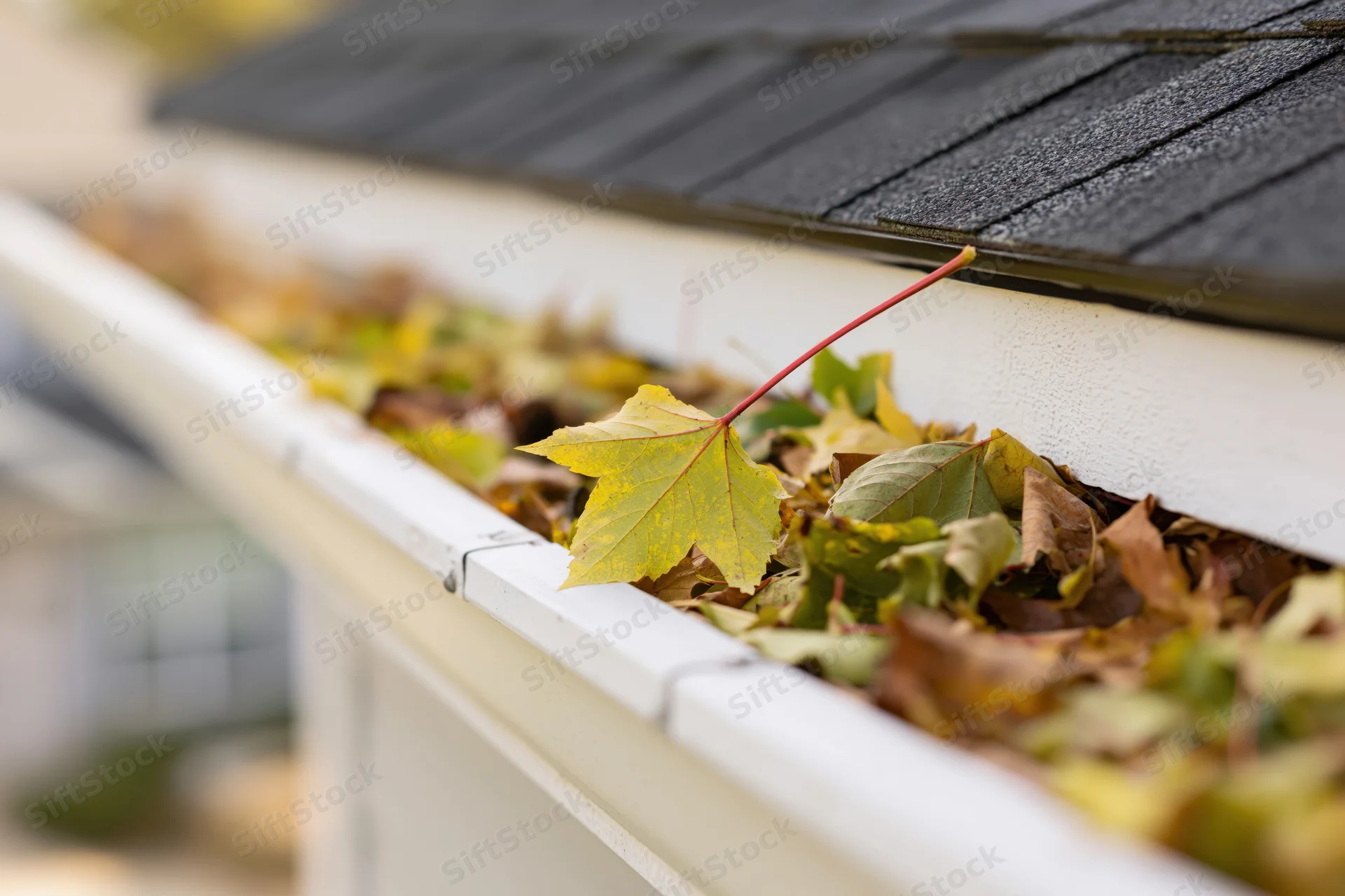 Close-up of a white vinyl rain gutter clogged with fallen autumn leaves along a roof edge