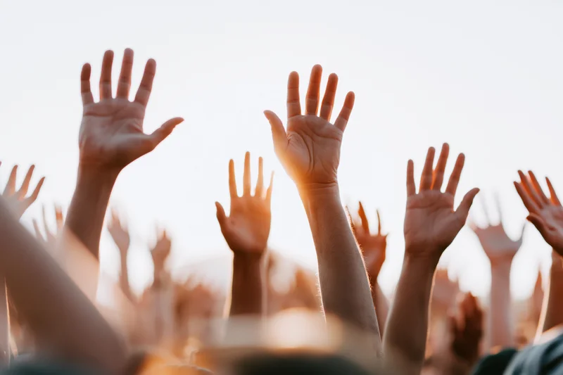 Multiple hands raised upward from a crowd at an outdoor event in warm sunlight