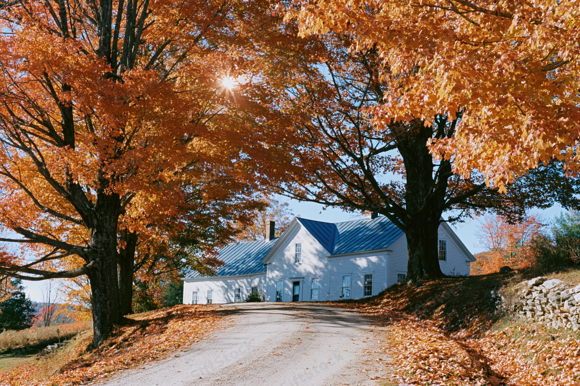 White clapboard farmhouse on a gravel country road framed by autumn trees with orange leaves and sunlight filtering through branches
