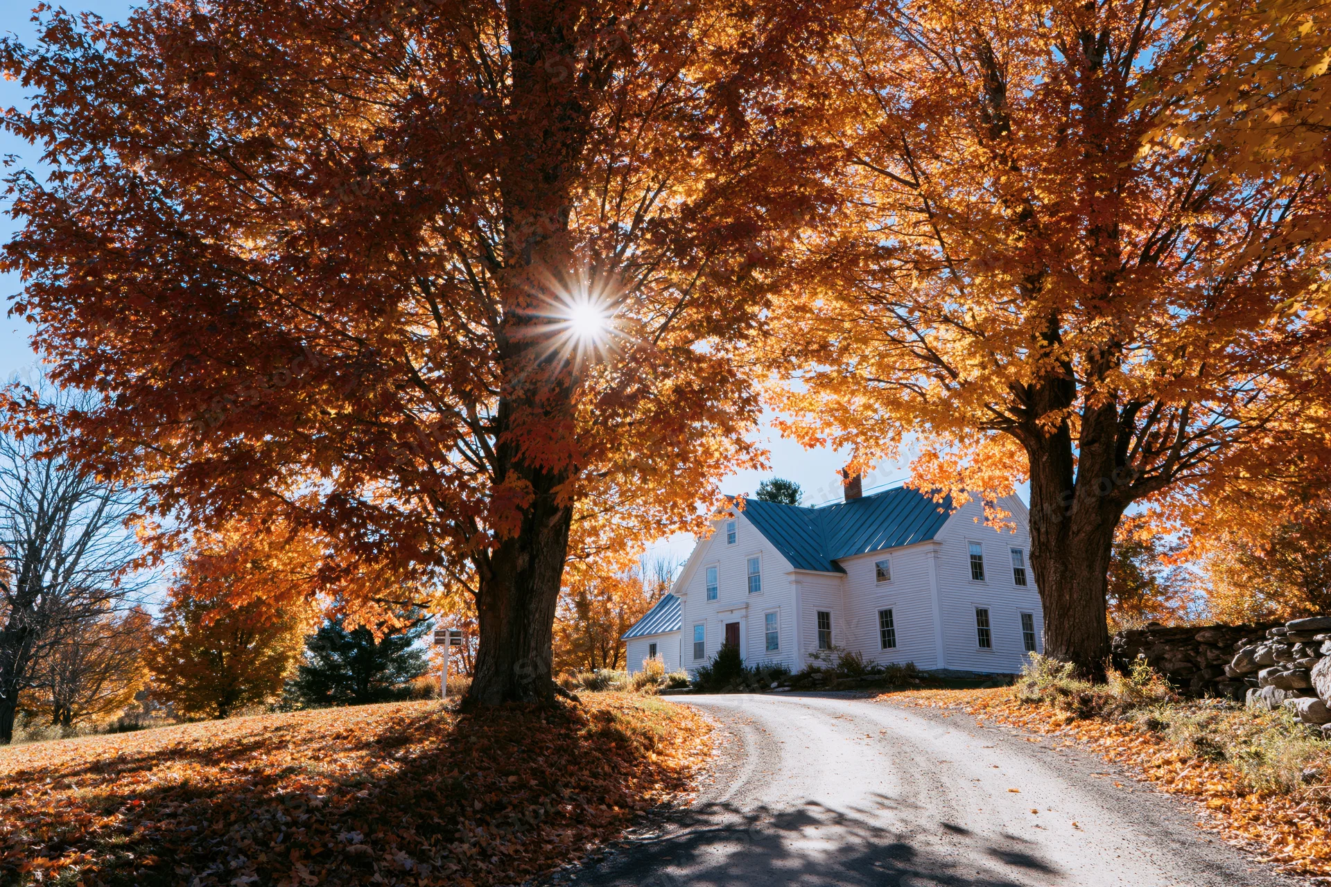 White clapboard farmhouse on a gravel country road surrounded by autumn trees with sunlight filtering through orange foliage