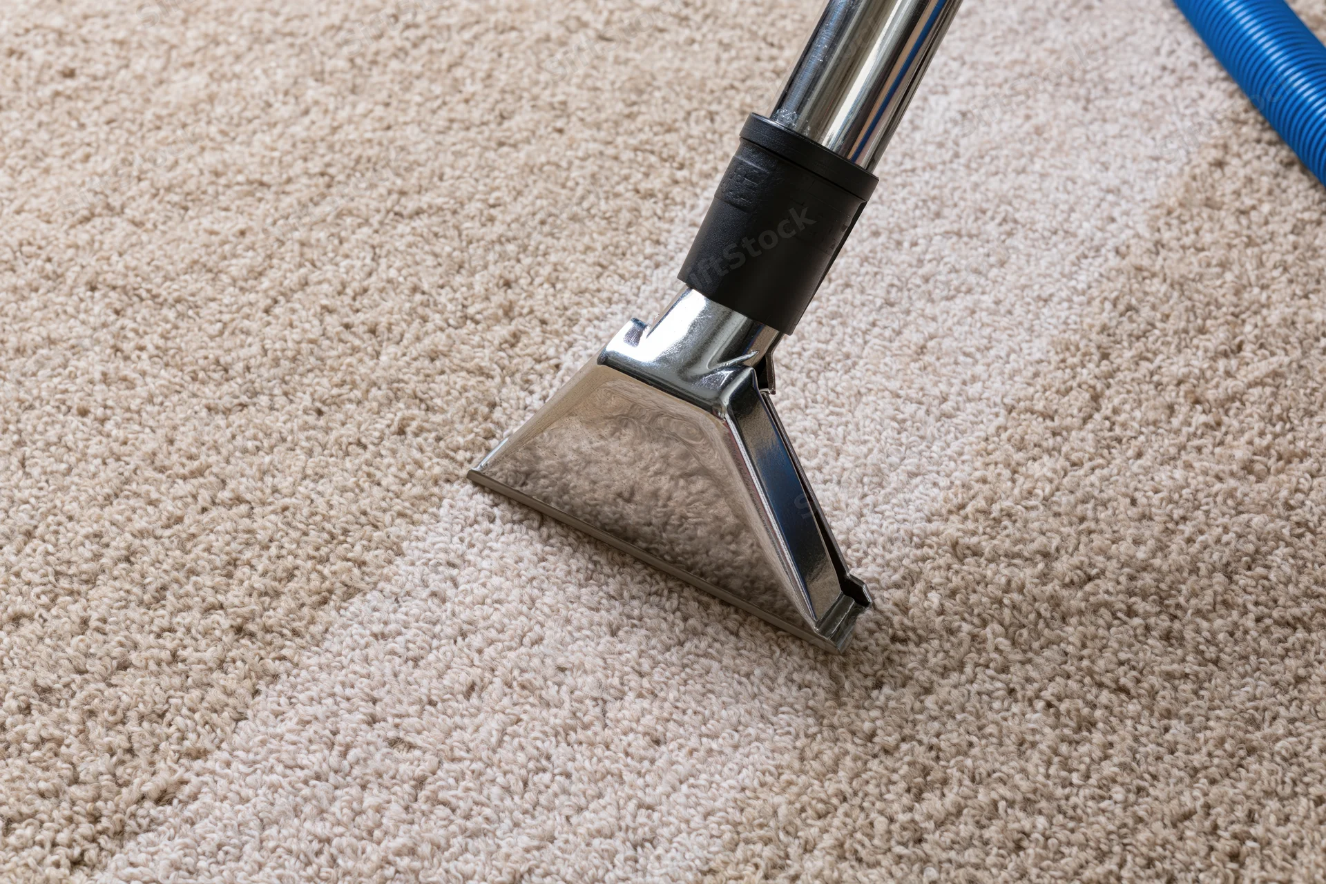 Vacuum wand moving across beige carpet surface