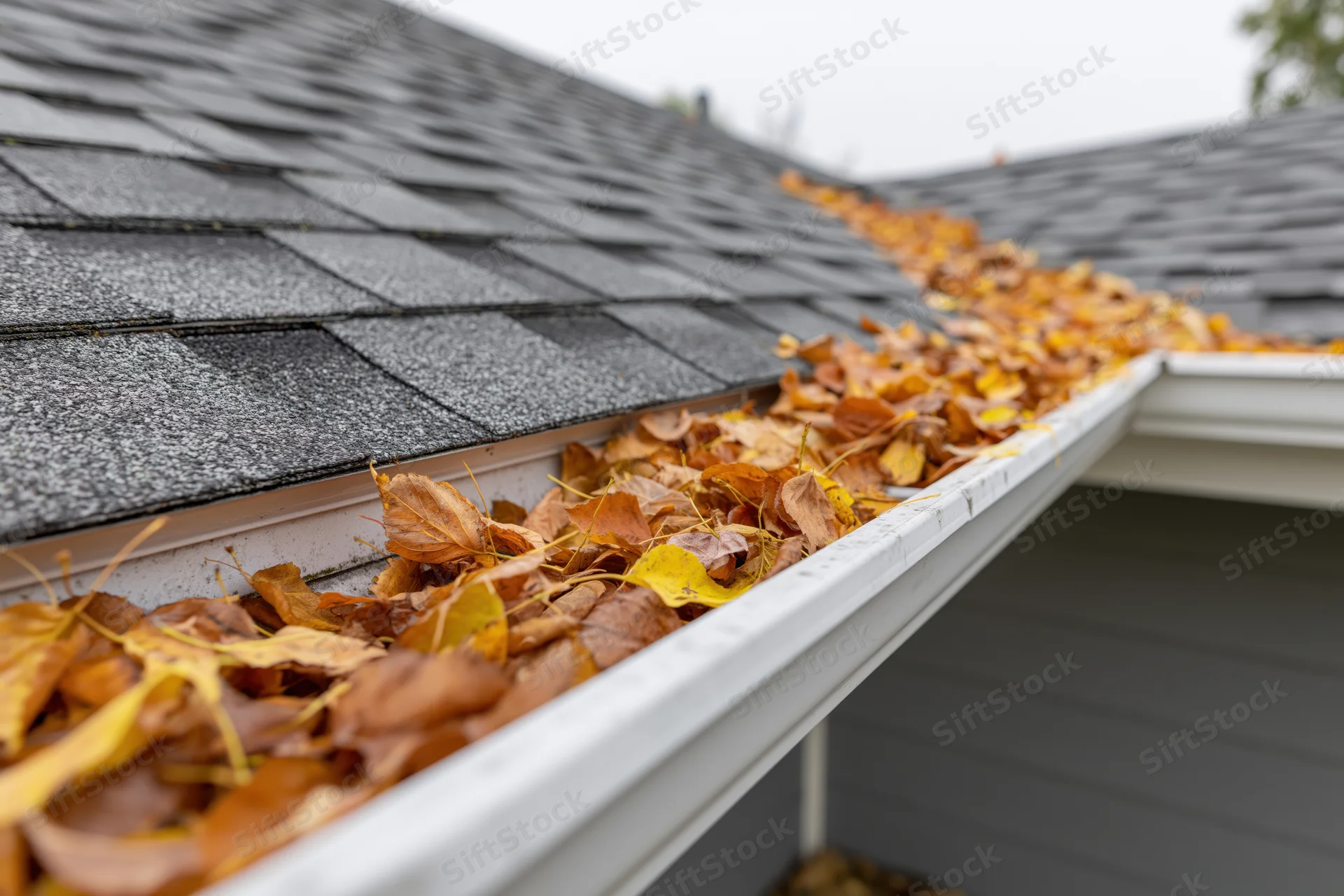 Clogged rain gutter filled with fallen autumn leaves along a house roof
