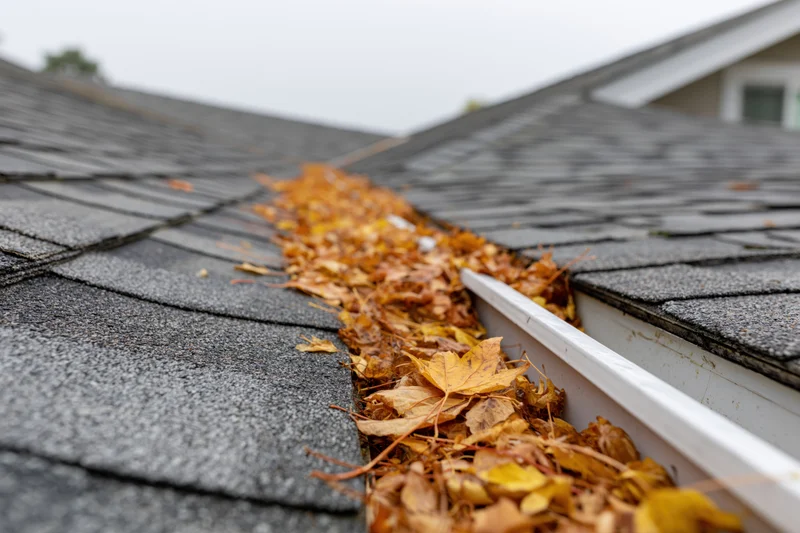 Clogged rain gutter filled with fallen autumn leaves along a shingled roof