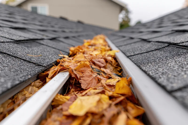 Clogged rain gutter filled with fallen autumn leaves along a shingled roof
