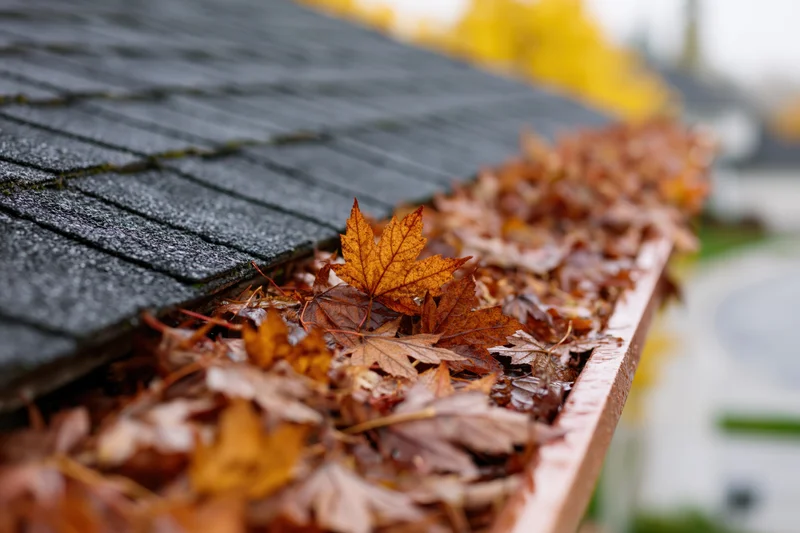 Rain gutter filled with fallen maple leaves on a roof during autumn