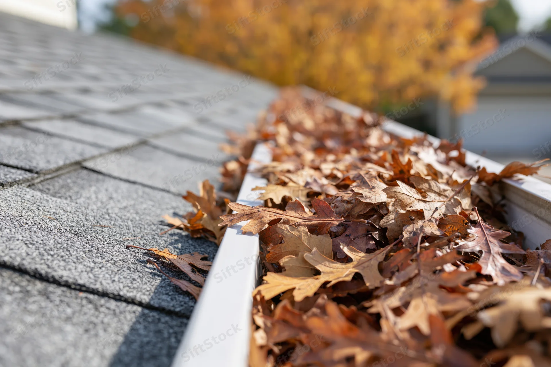 Dry autumn leaves clogging a residential roof gutter