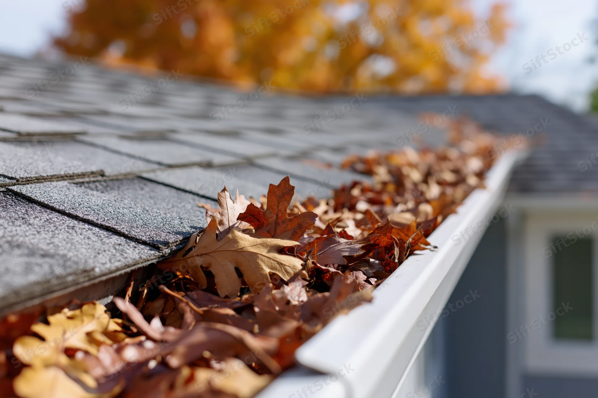 Dry autumn leaves clogged in white gutter on residential roof