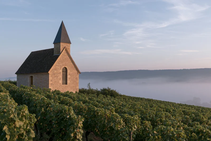 Small stone chapel with dark slate steeple on a hilltop overlooking a foggy valley surrounded by vineyards at dawn