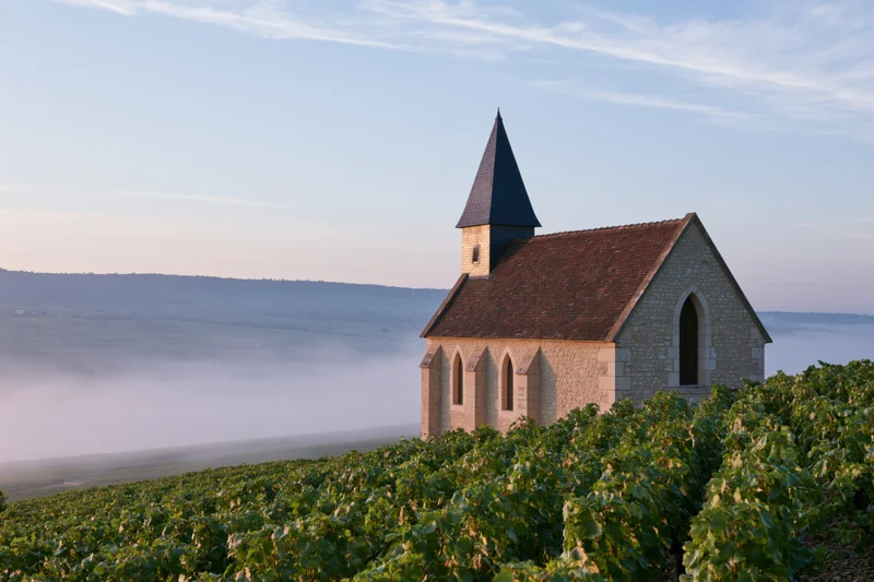 Small stone chapel with dark slate steeple perched atop a hill overlooking a foggy valley surrounded by vineyards at dawn