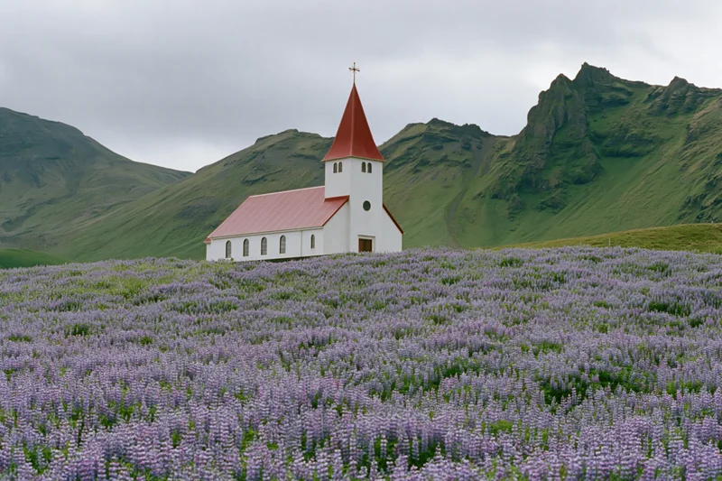 Small white church with red pointed roof surrounded by purple lupine flowers in a green mountainous landscape