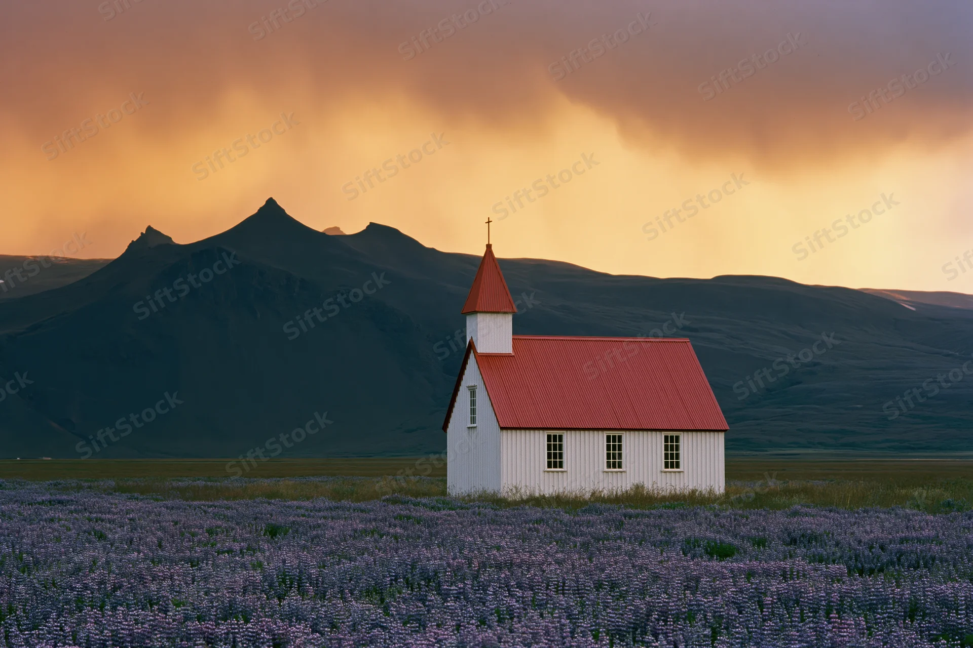 Small white icelandic church with red roof standing alone in a field of purple flowers before mountains at sunset