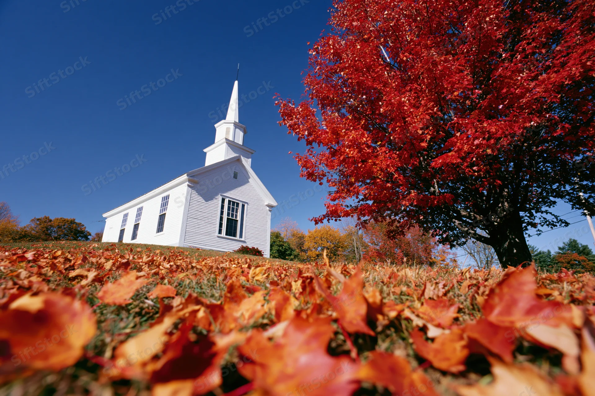 Small white clapboard church with steeple surrounded by red autumn foliage under a clear blue sky
