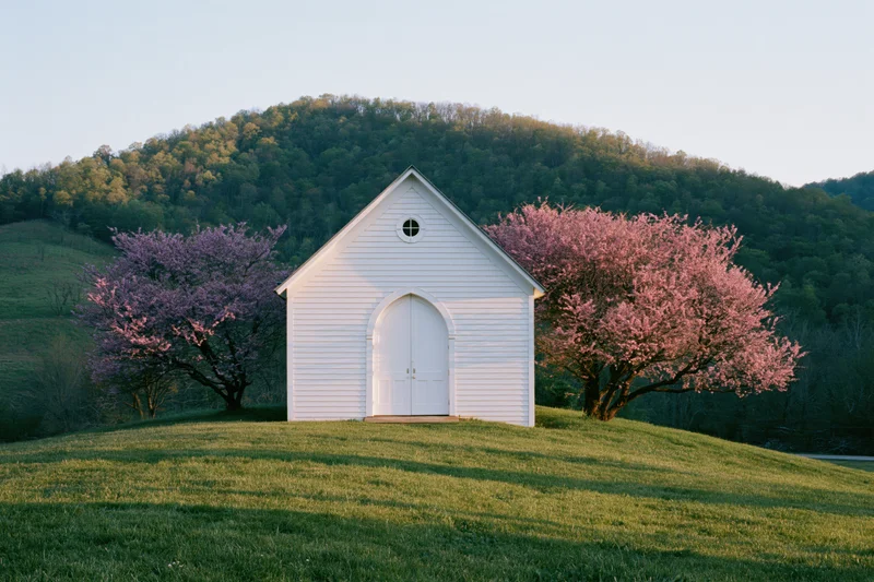 Small white clapboard church on a grassy hillside flanked by blooming pink trees in spring