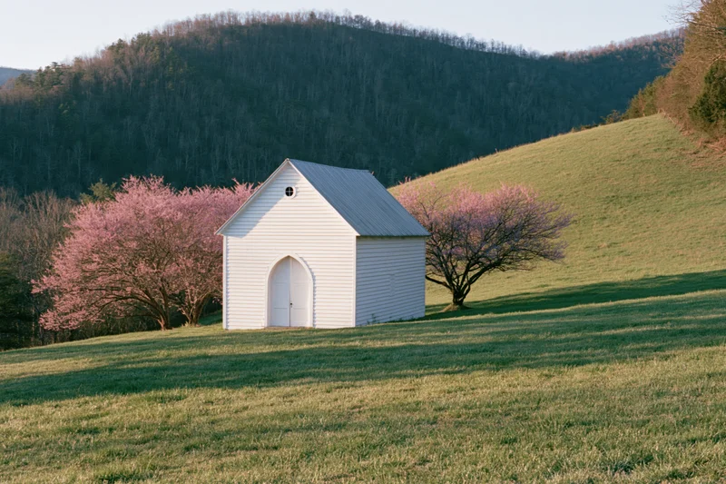 Small white clapboard church standing alone on a grassy hillside with blooming pink trees in spring