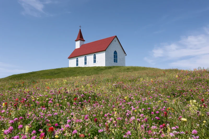 Small white church with red roof and steeple on a grassy hill surrounded by wildflowers under a blue sky