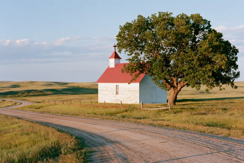Small white country church with red roof and steeple beside a tree and dirt road in a grassy field