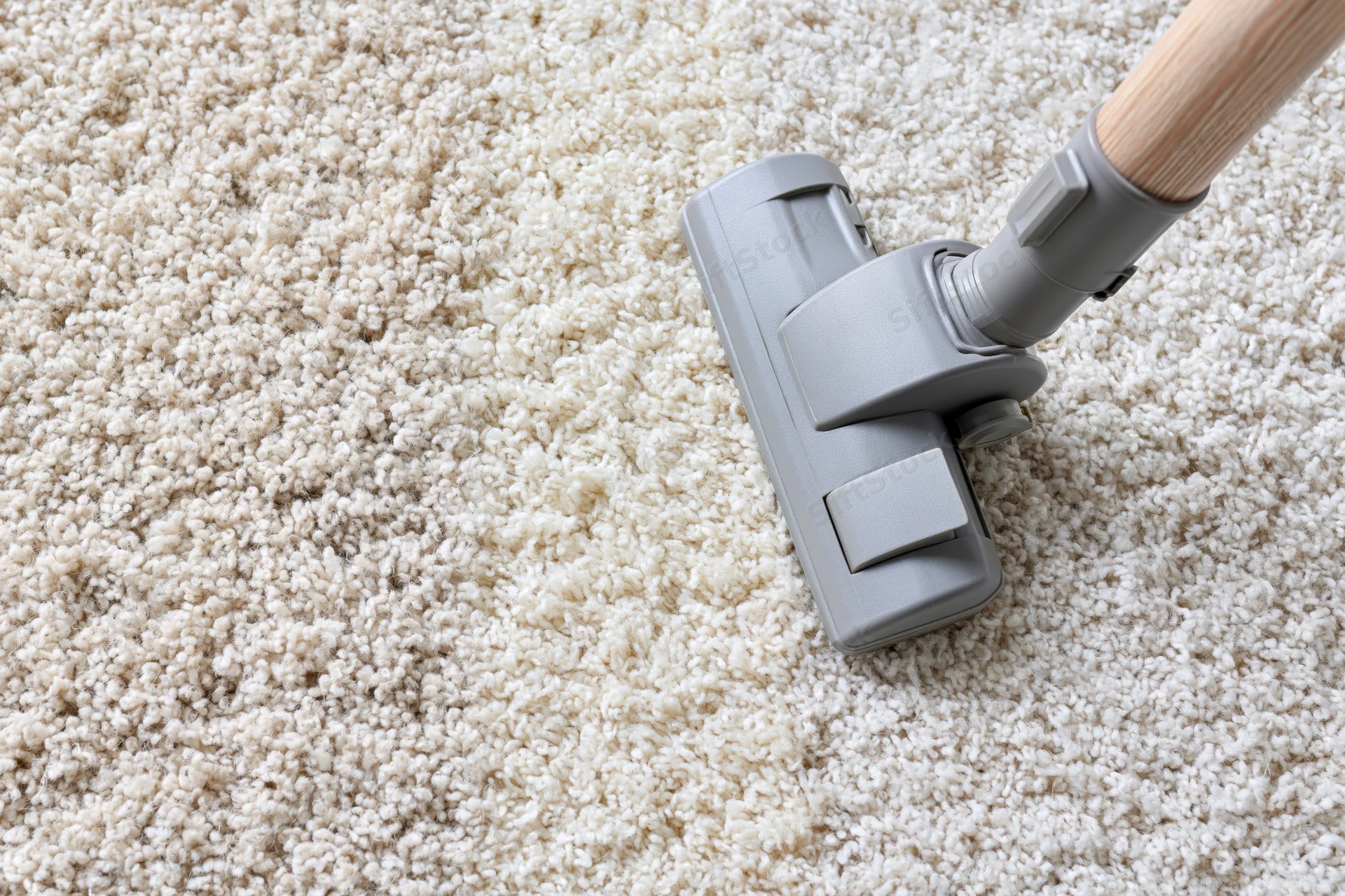 Vacuum cleaner head moving across thick cream shaggy carpet in home interior