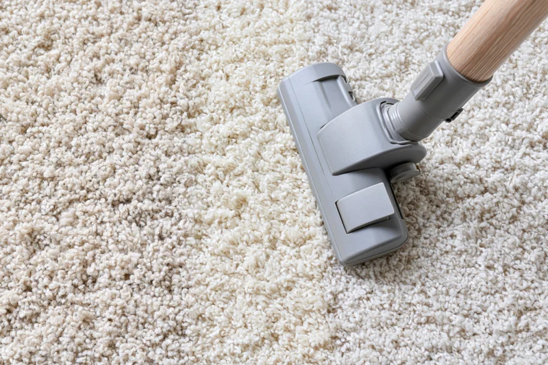 Vacuum cleaner head moving across thick cream shaggy carpet in home interior