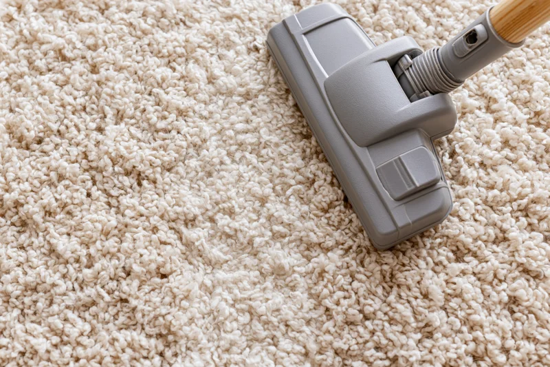 Vacuum cleaner head moving across thick cream shaggy carpet