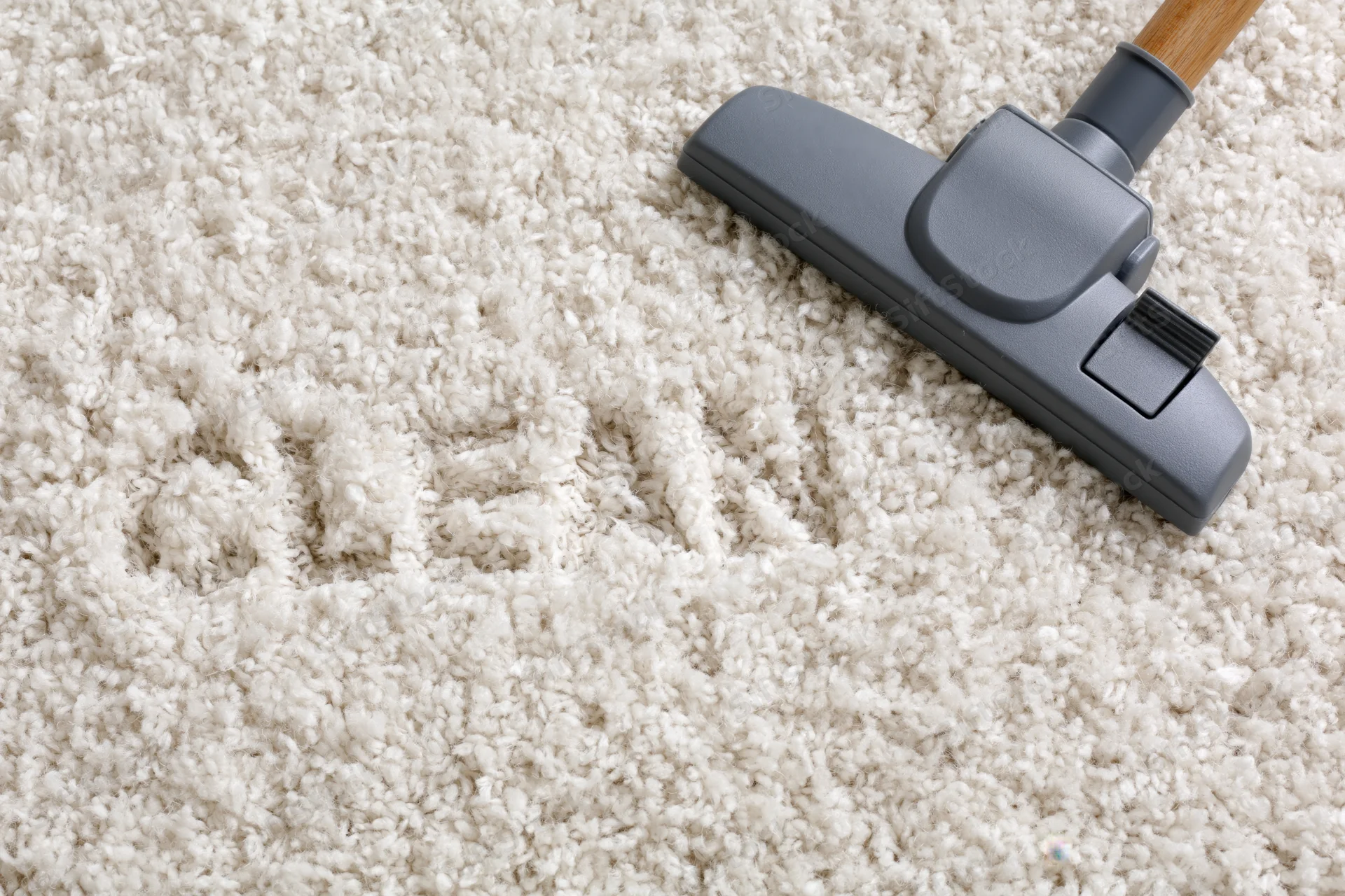 Vacuum cleaner head on beige carpet with visible cleaning path