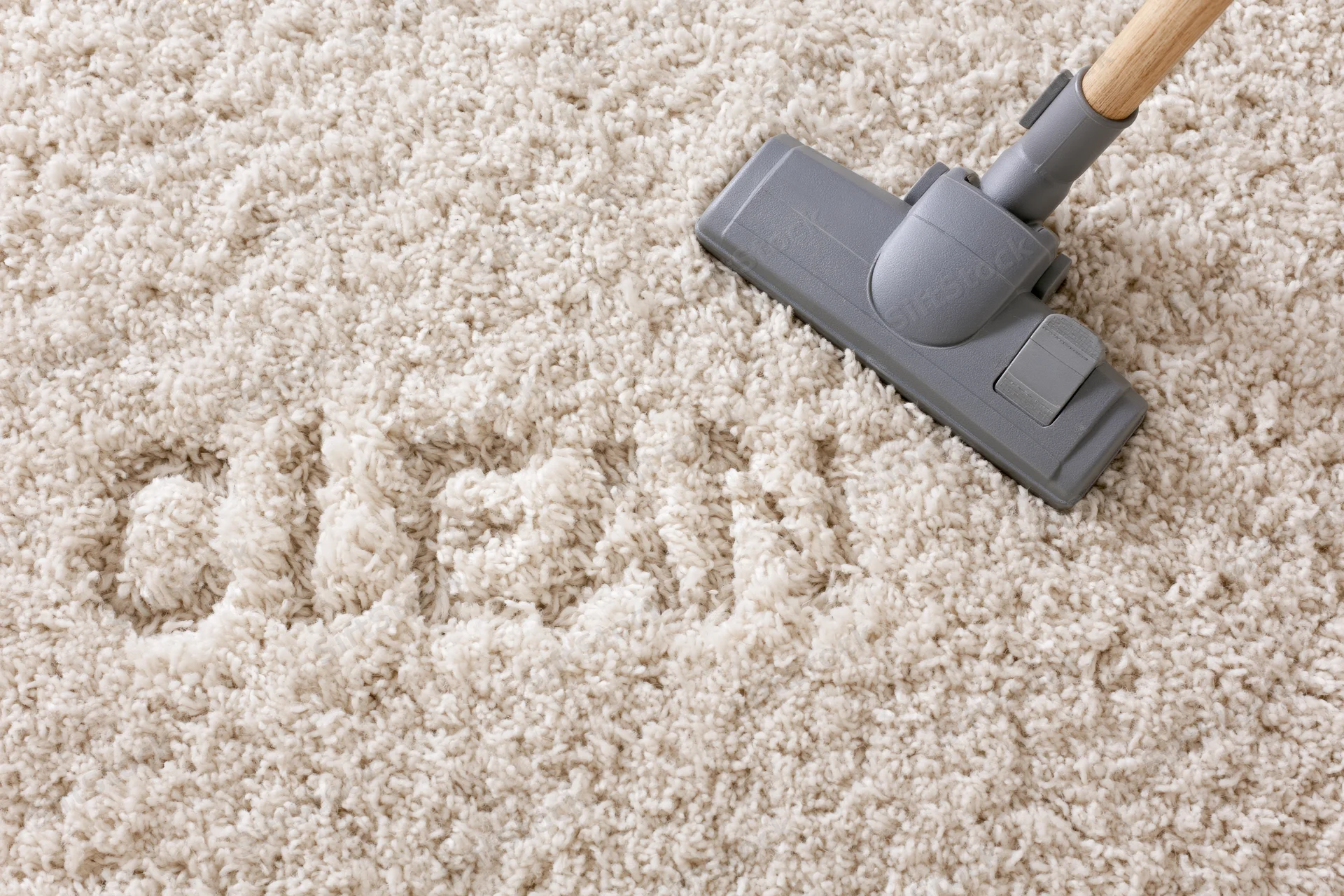 Vacuum cleaner head on beige plush carpet during cleaning process