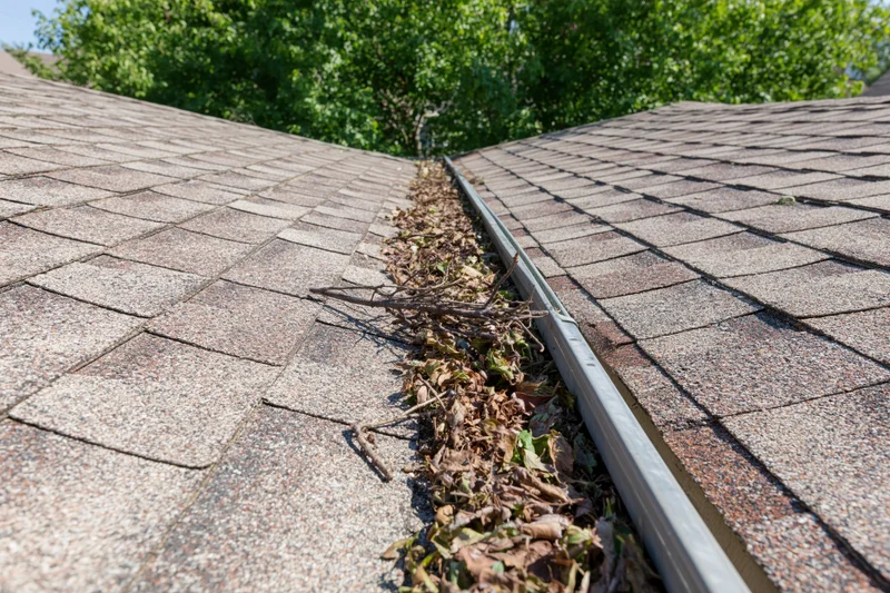 Weathered asphalt shingle roof with clogged gutter filled with leaves and debris at peak under sunlight