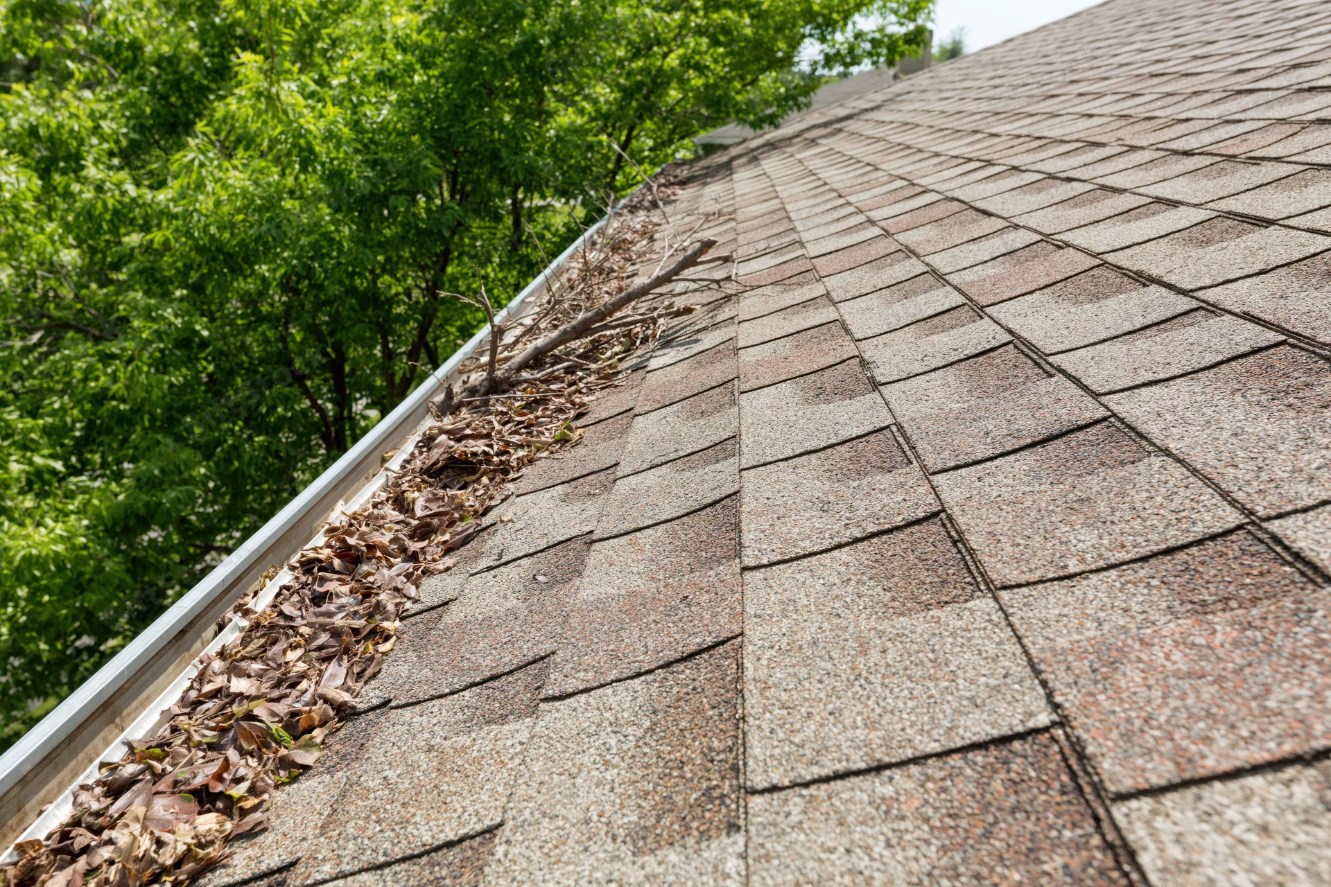 Weathered asphalt shingle roof with debris in gutter beside green trees