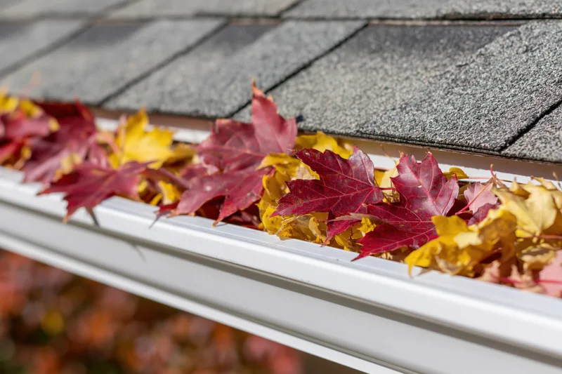 Fallen maple leaves filling a white plastic gutter on a gray shingled roof