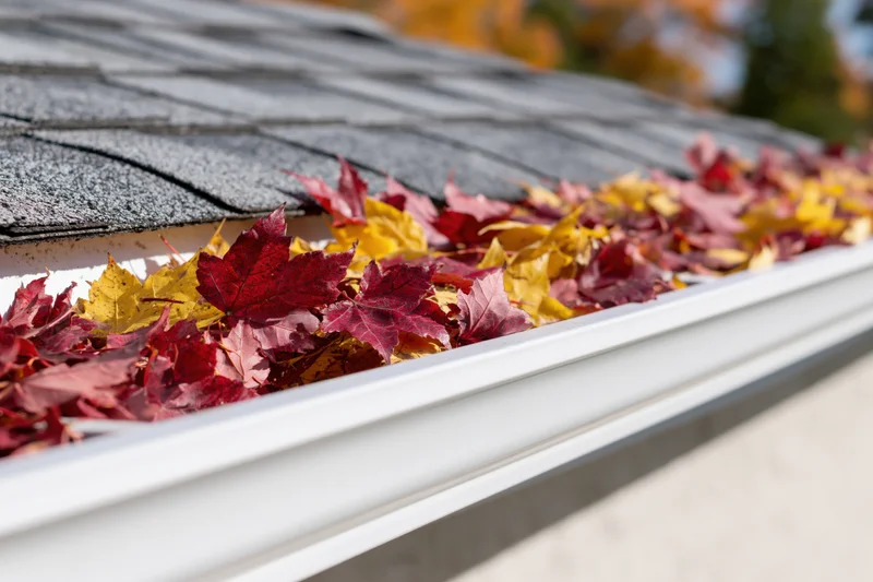 White plastic gutter filled with colorful maple leaves along a gray shingled roof