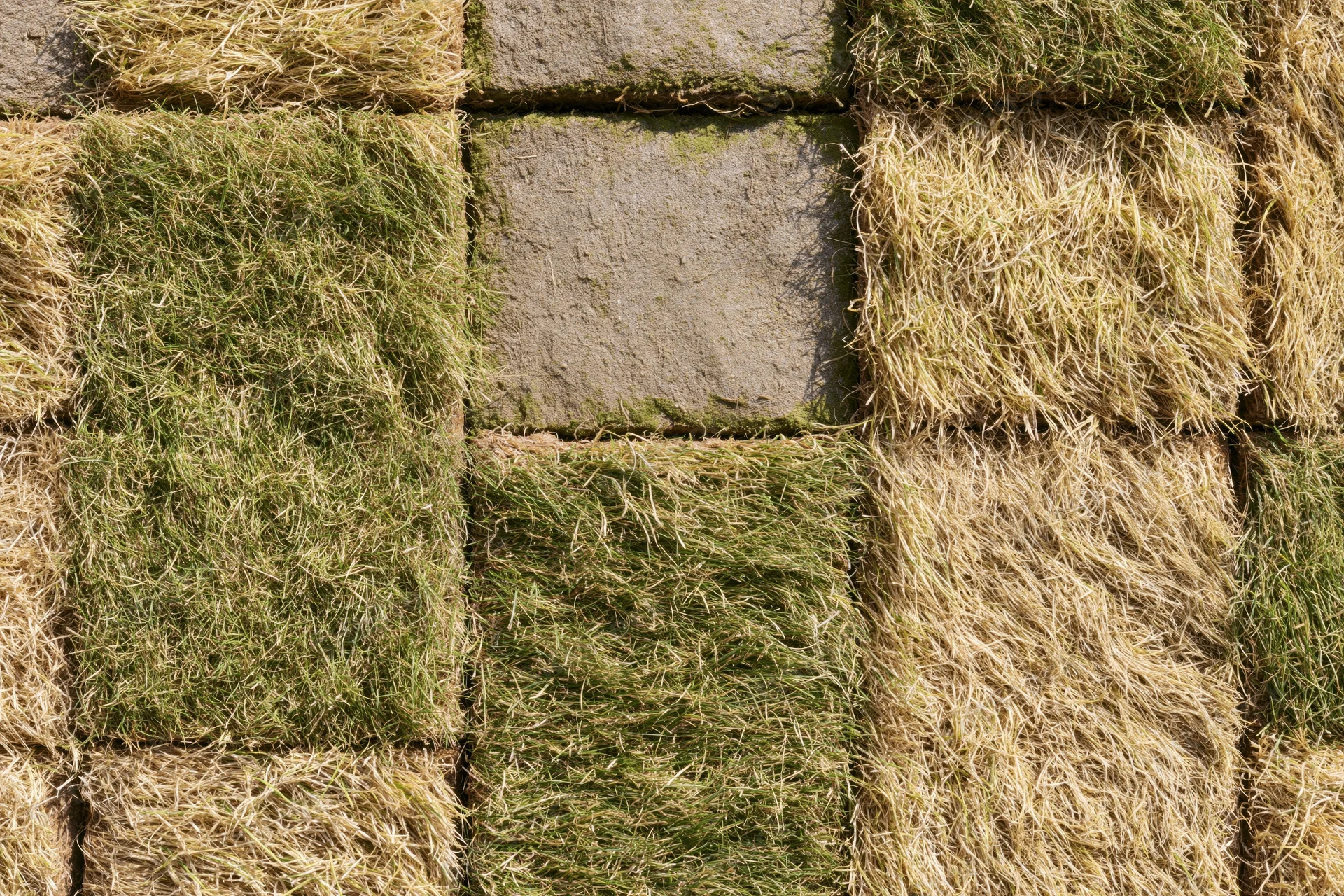 Overhead view of freshly laid grass turf squares arranged in a grid pattern on a garden ground