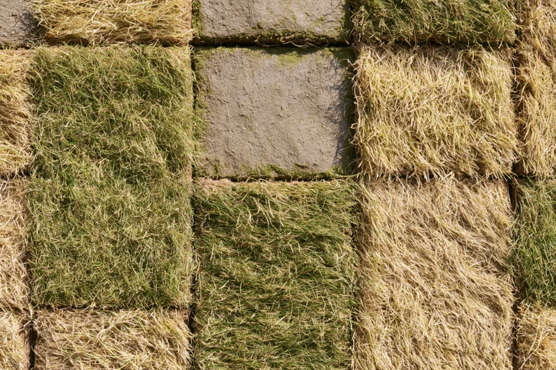 Overhead view of freshly laid grass turf squares arranged in a grid pattern on a garden ground
