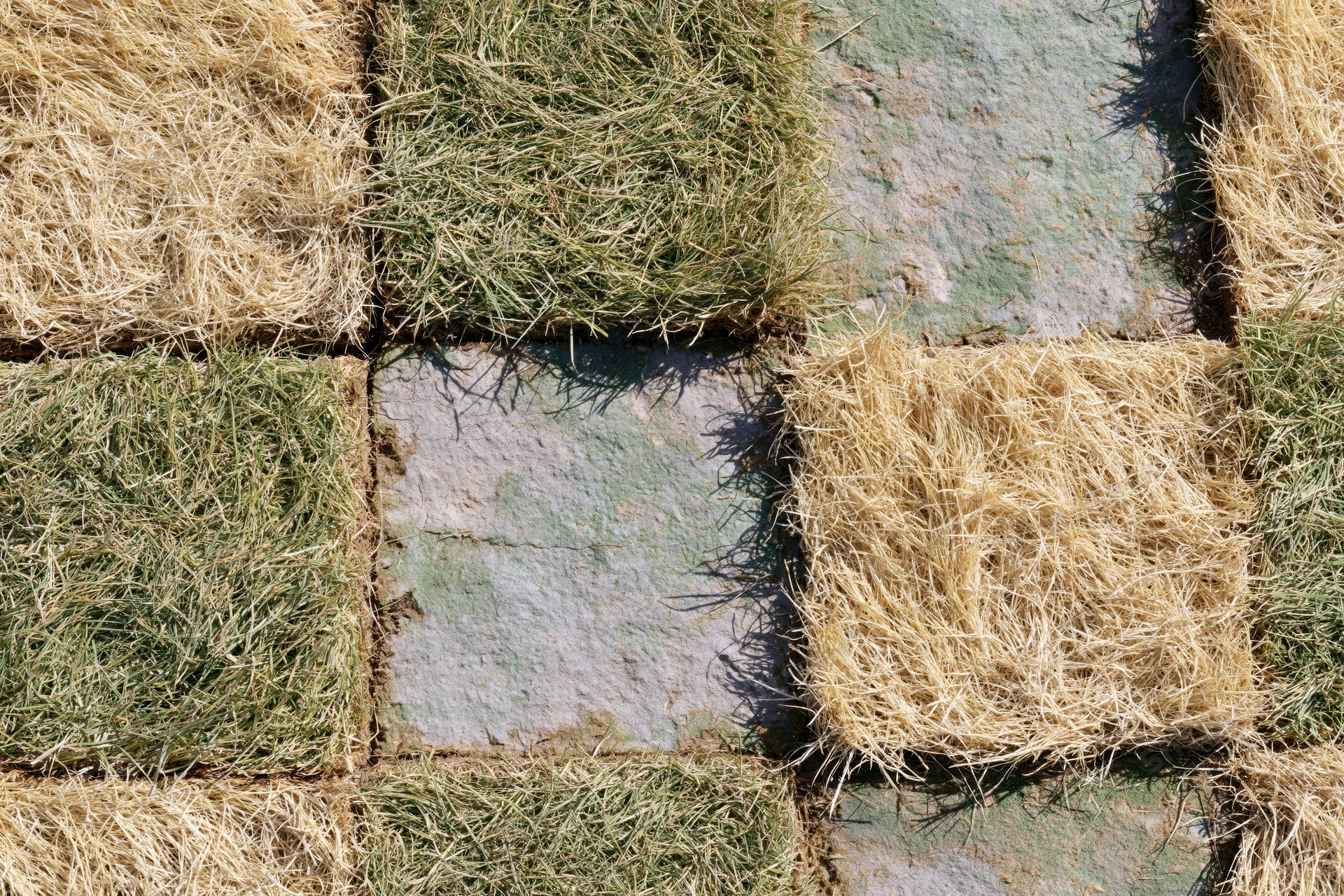 Overhead view of freshly laid grass turf squares arranged in a checkerboard pattern on a yard