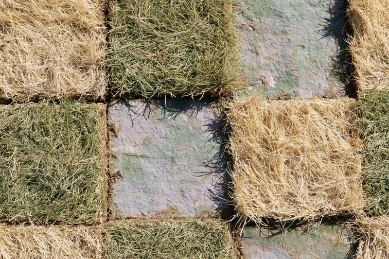 Overhead view of freshly laid grass turf squares arranged in a checkerboard pattern on a yard