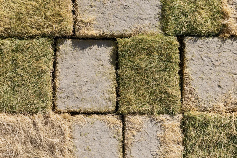 Overhead view of grass turf squares laid in a grid pattern on concrete pavement