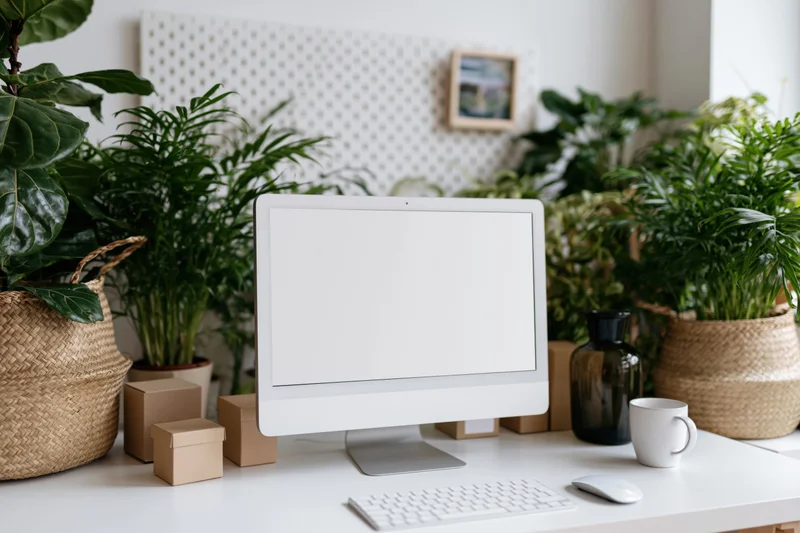 White computer monitor with blank screen on a desk surrounded by plants and office supplies
