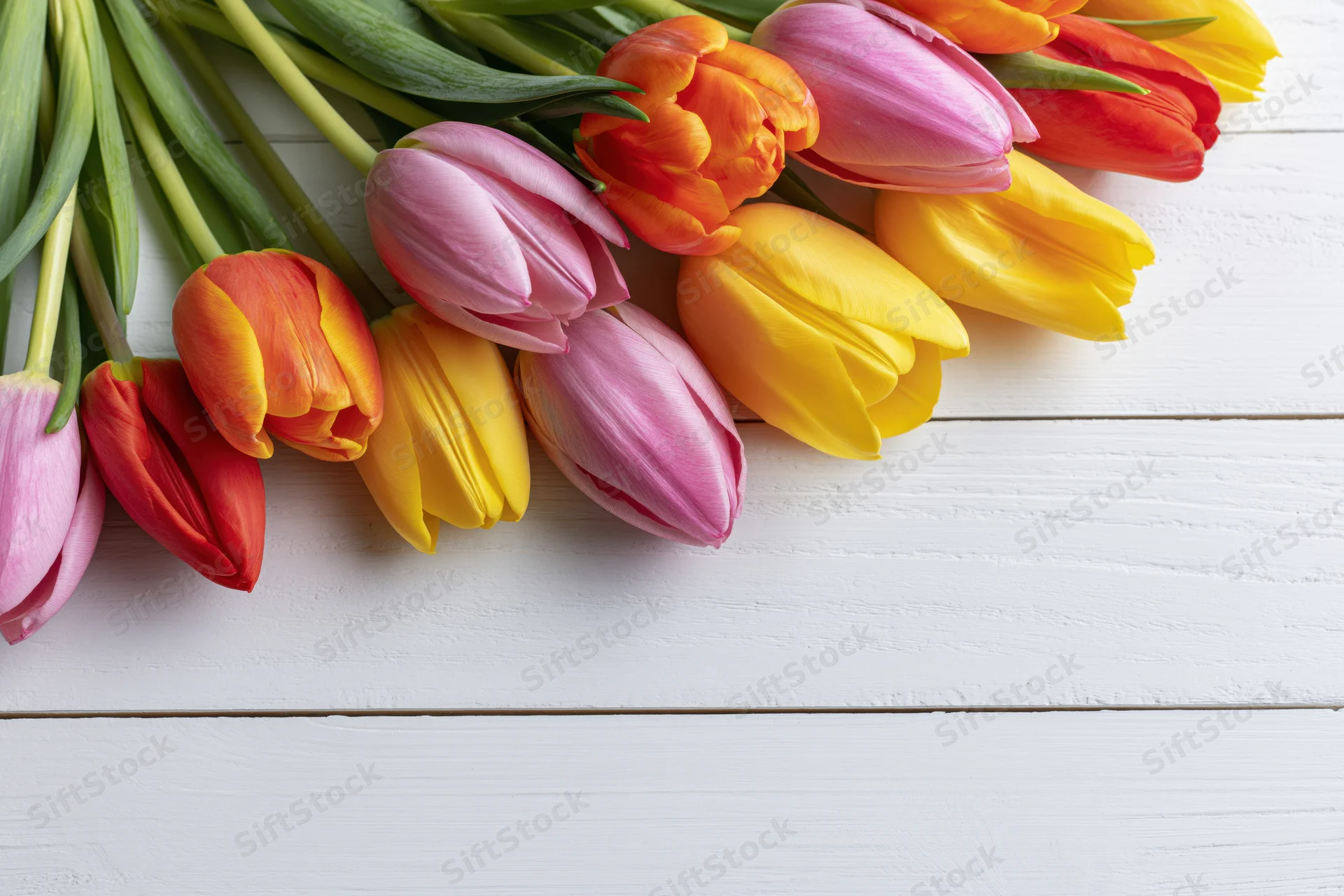 Colorful tulips arranged loosely on white wooden surface