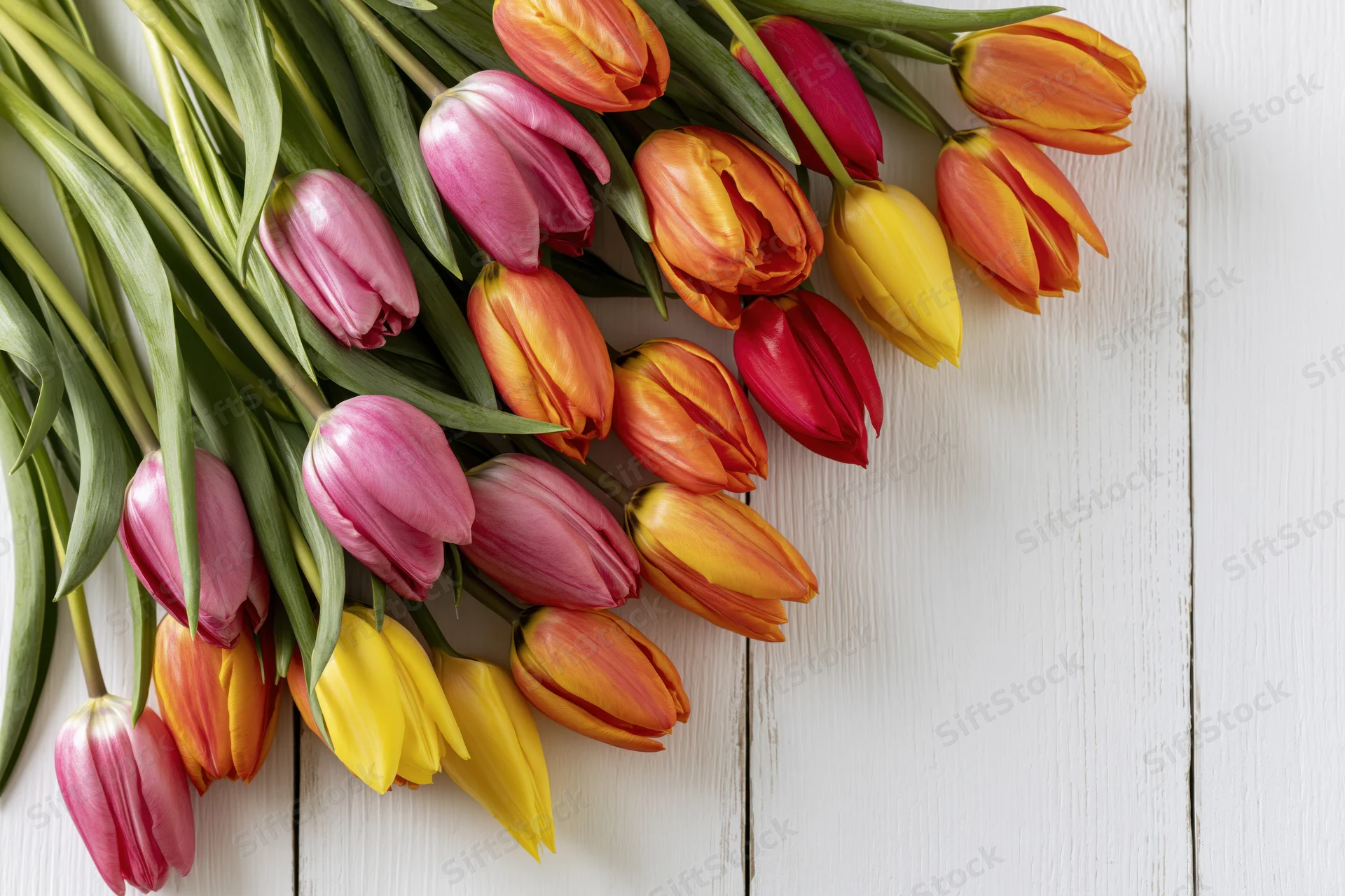 Colorful tulips arranged loosely on white wooden surface