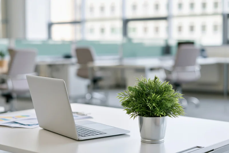 Open laptop and small potted green plant on white office desk